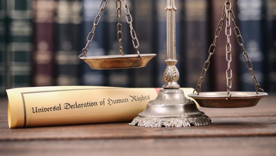 ¿Por qué se celebra el Día Internacional de los Derechos Humanos?